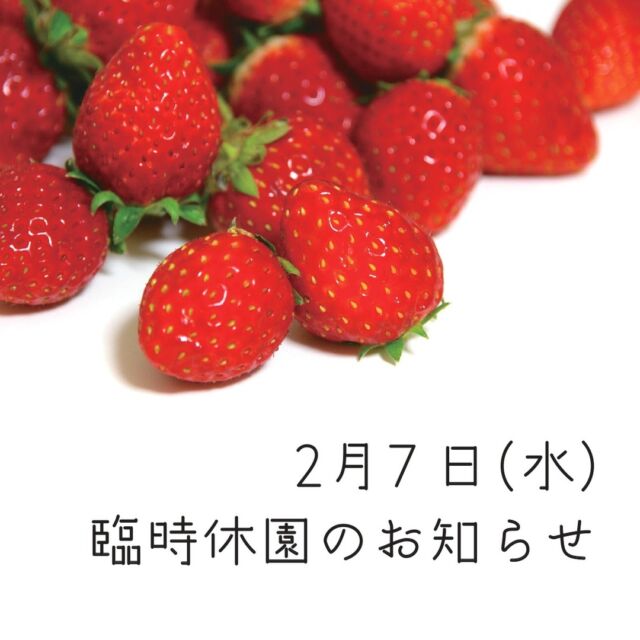 農園について | HAMABERRY いちごの郷みはま 若狭美浜
